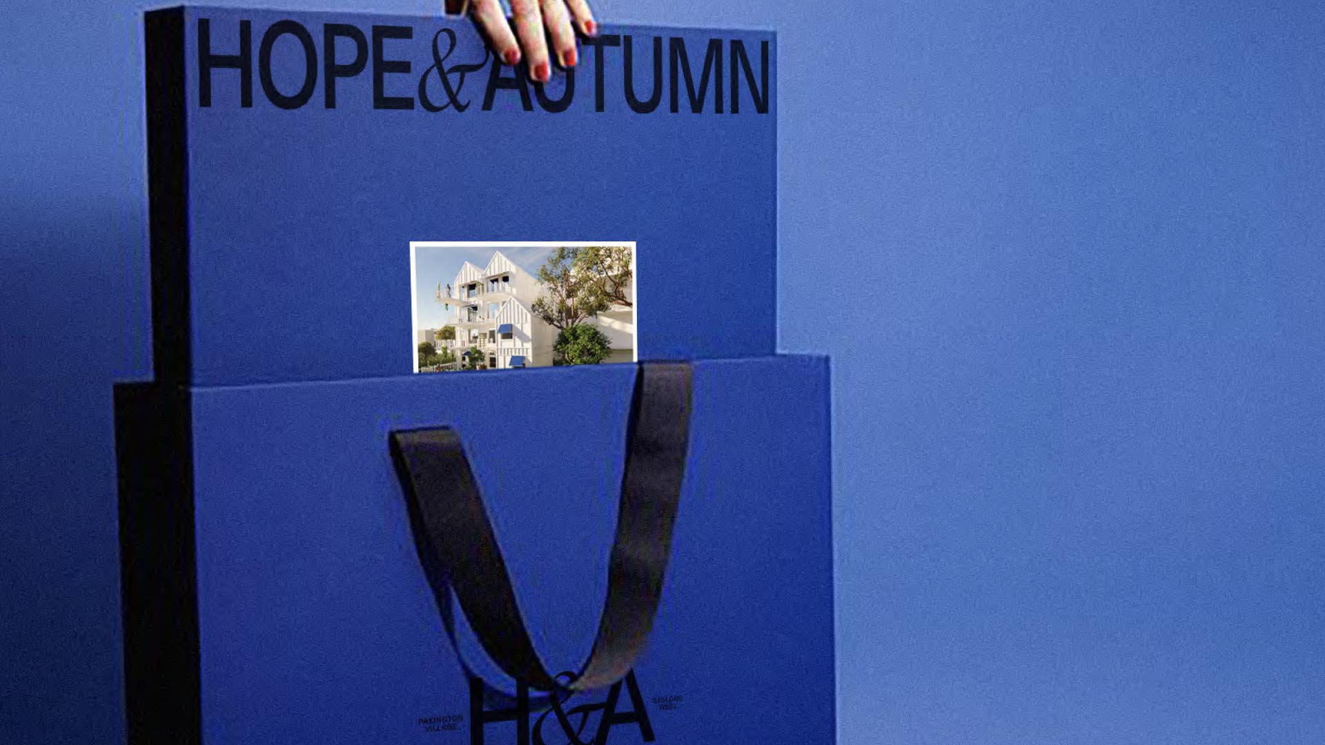bag, person, shopping bag