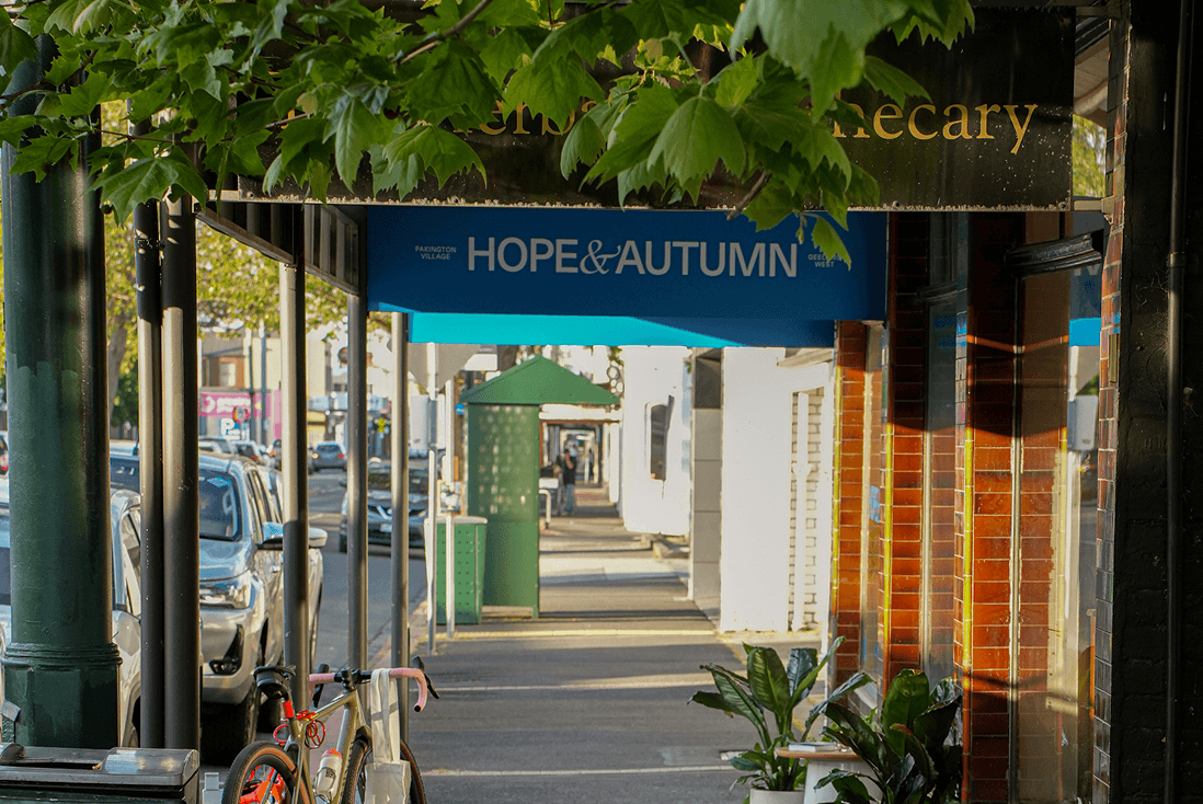 city, street, urban, path, sidewalk, plant, potted plant, person, car, bicycle